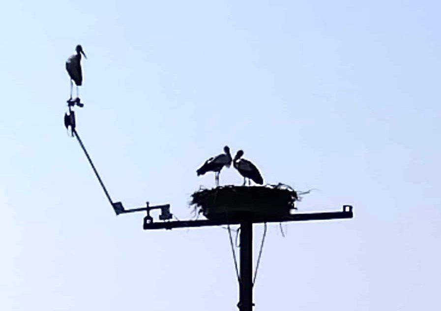 Bubendorf Foto über Jörg Spörl .jpg