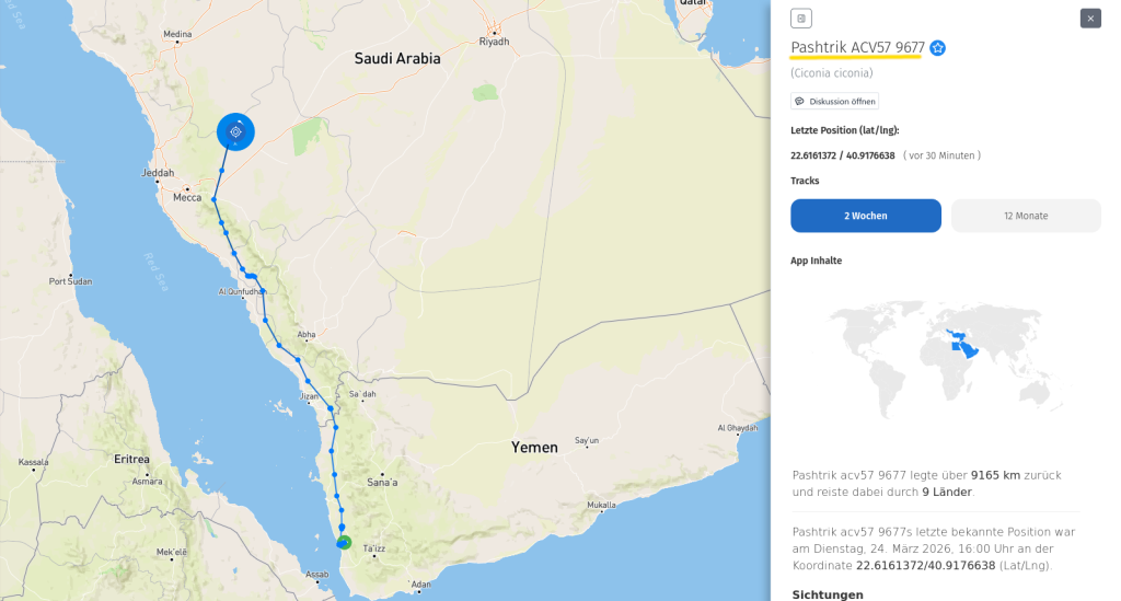 Pashtrik ist in Saudi-Arabien. 24. März 2026.