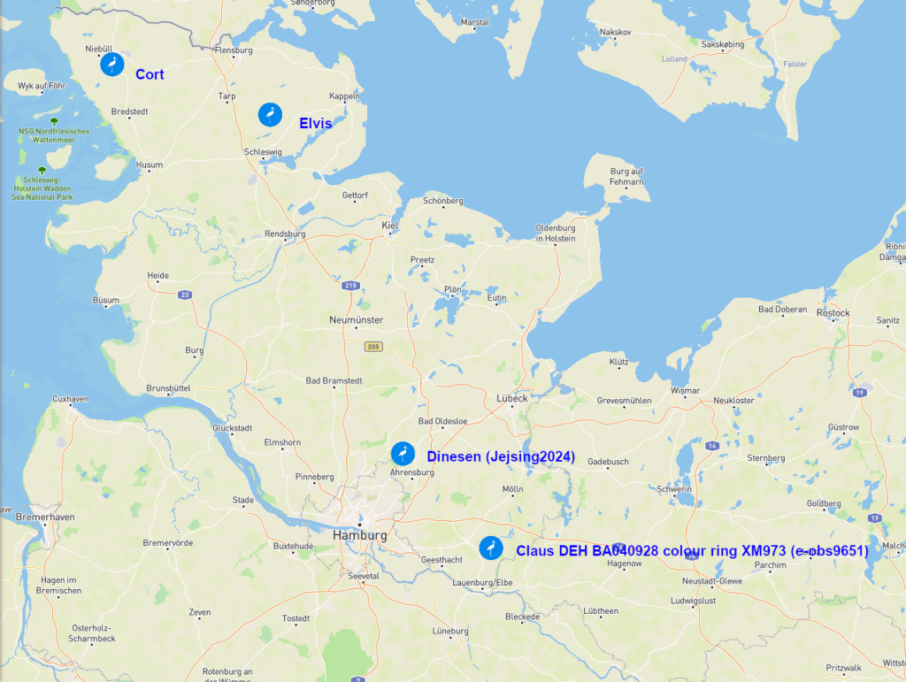 Screenshot 2026-03-25 at 20-00-28 Animal Tracker.png
