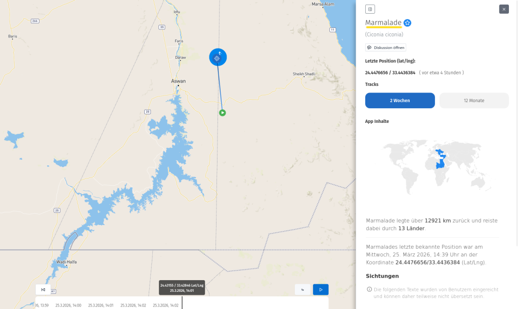 Marmalade tauchte nach langer Zeit gestern, am 25. März 2026, wieder im AT auf.