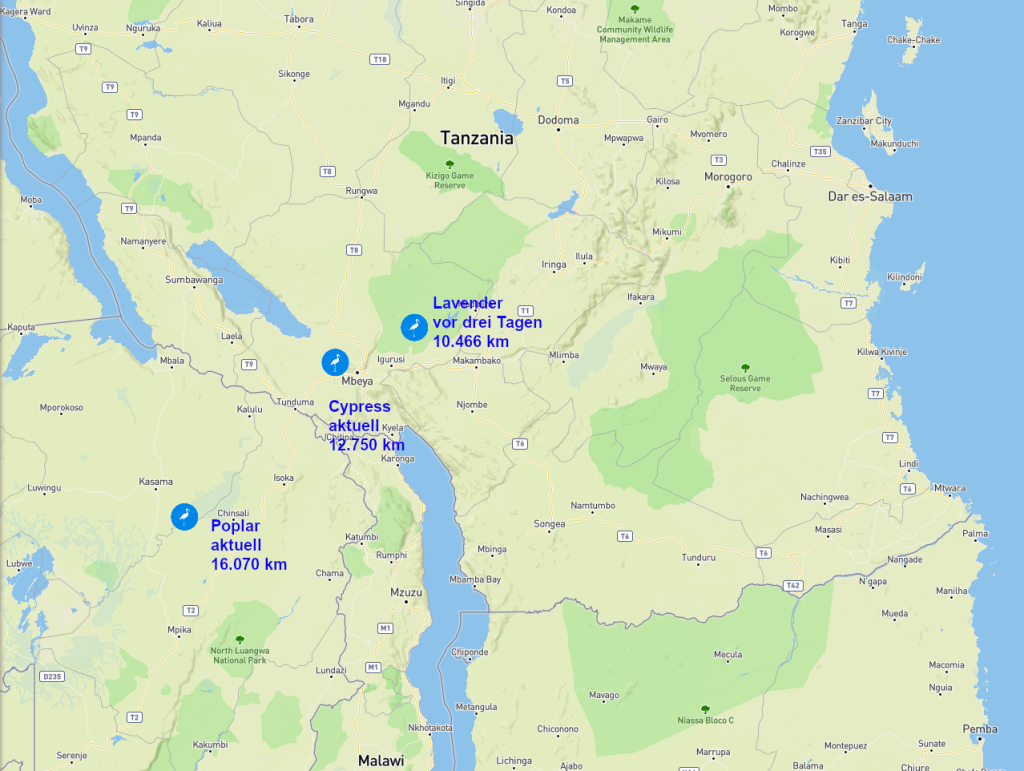 Poplar und andere.png