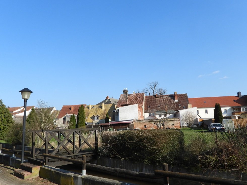 Pretzsch 23.03.26.JPG
