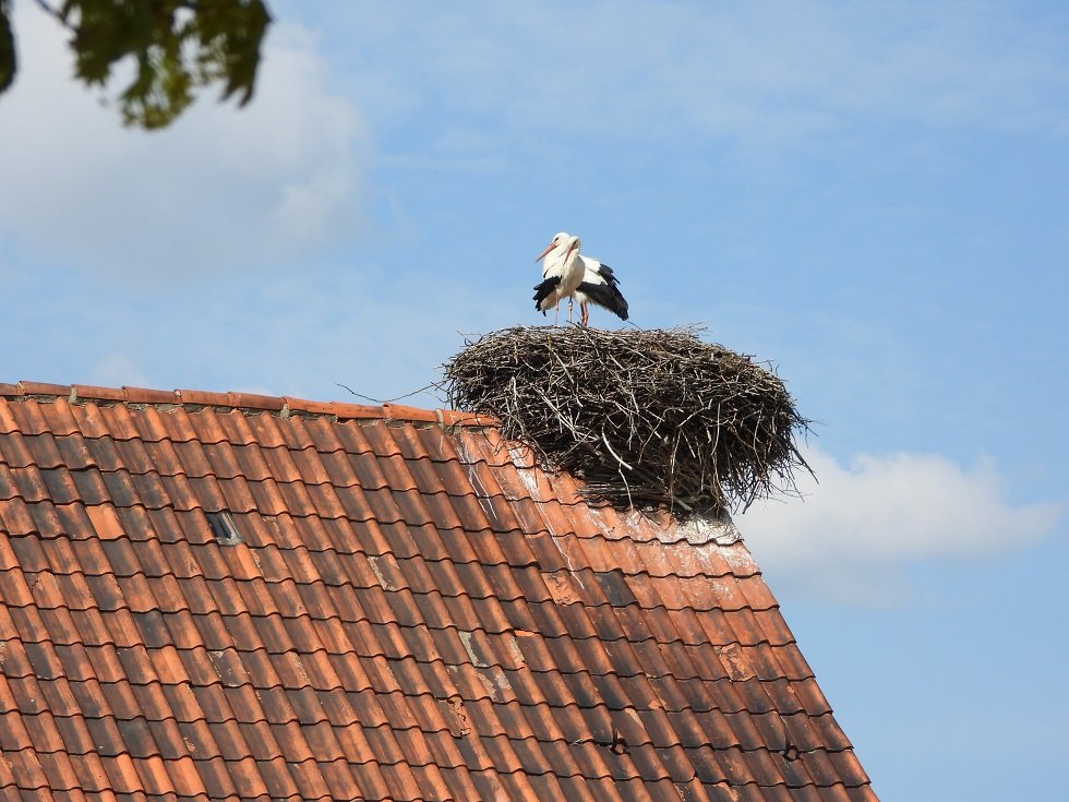 Proschwitz.JPG