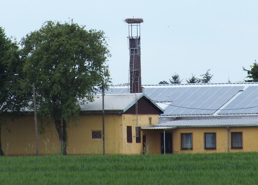 Grubnitz 2014 (2).JPG