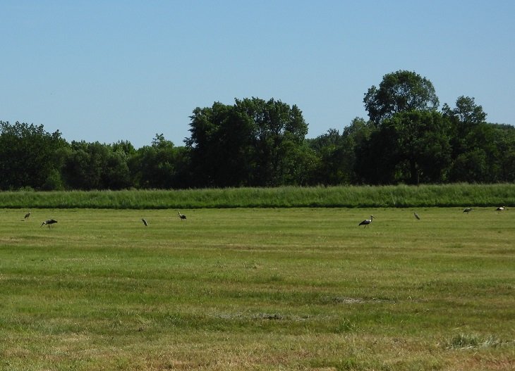 Groitzsch 27.05.26.JPG