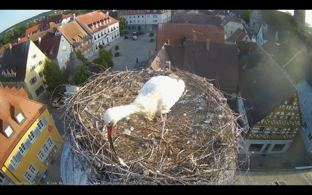 Hoechstadt_Storch_nur_1Fuss_1.png