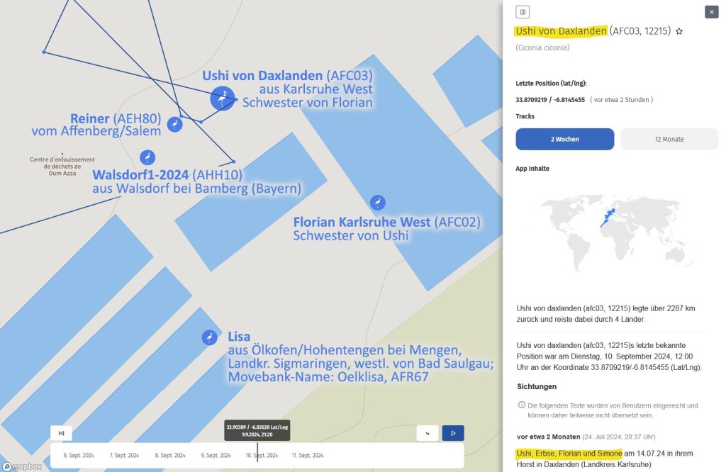 Inzw. sind 5 besenderte Jungstörche auf der Deponie Oum Azza eingetroffen.