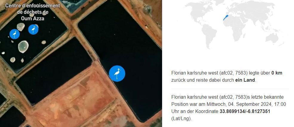 Statistic Florian 2.JPG