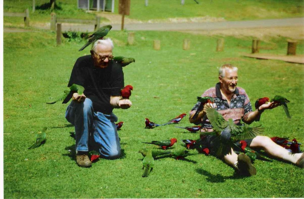 Königs.u.Pennants. füttern auf Wiese.jpg