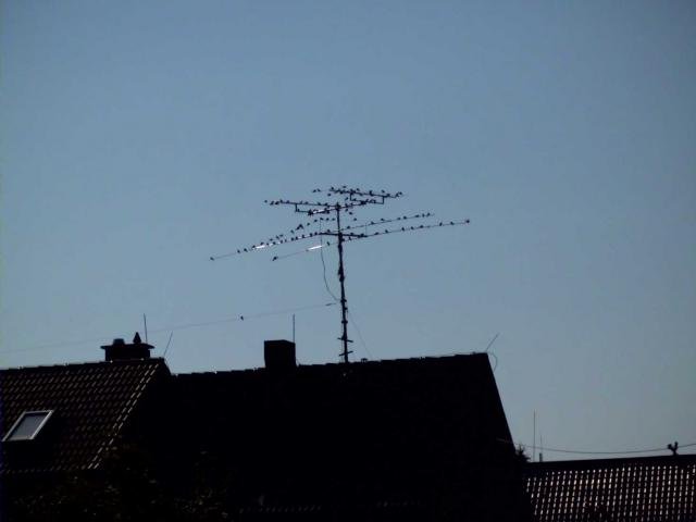 Antenne.jpg