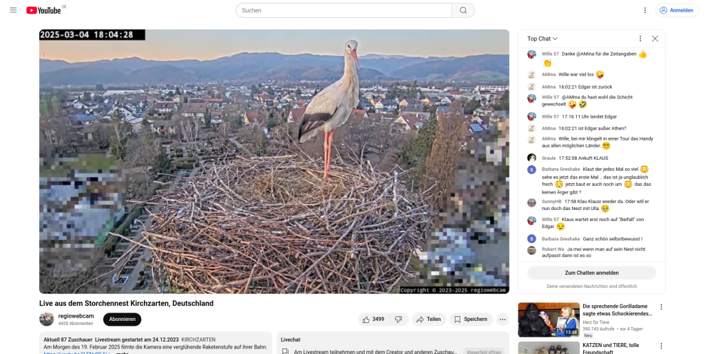 Klaus steht im KiZa-Nest. 4. März 2025